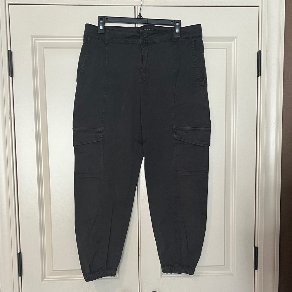 Sanctuary Rebel Obsidian Cargo Pants